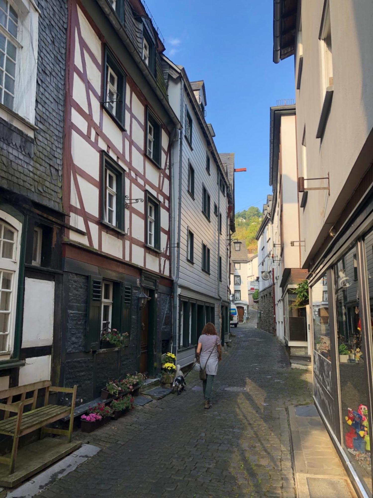 Apartment Rur-Partie Im Haus An Der Rur Monschau Exterior foto